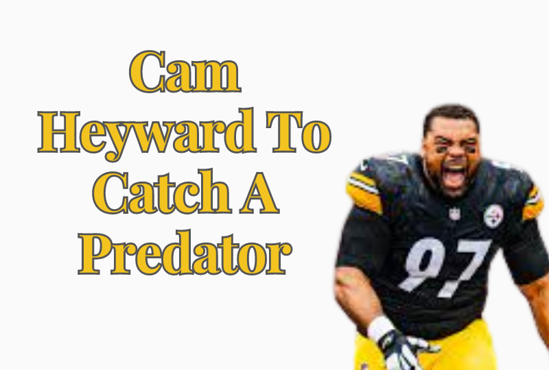 Cam-Heyward-To-Catch-A-Predator